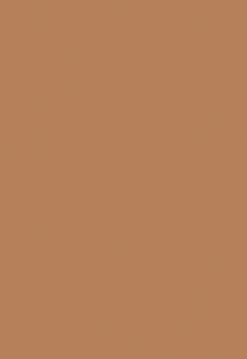 Black Opal - TRUE COLOR® Skin Perfecting Stick Foundation - Kalahari Sand