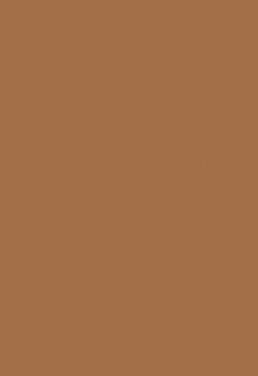 Black Opal - TRUE COLOR® Skin Perfecting Stick Foundation - Warm Almond