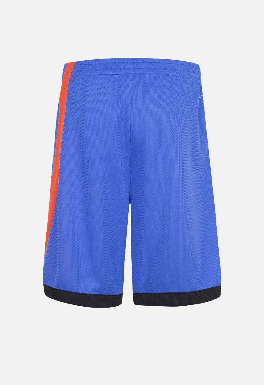 Nike - Nkb b nk df hbr bkball short - game royal