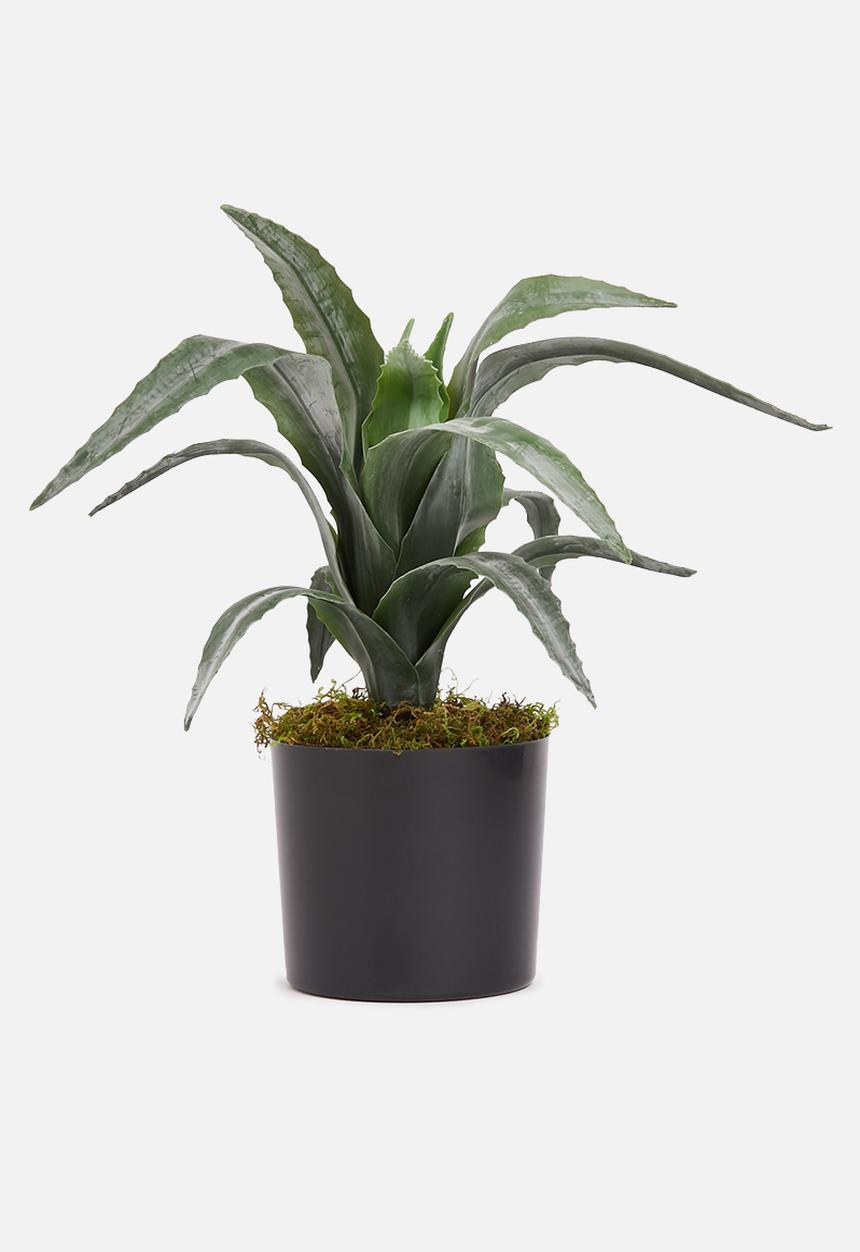 Silk By Design - Aloe artificial plant in pvc pot - green