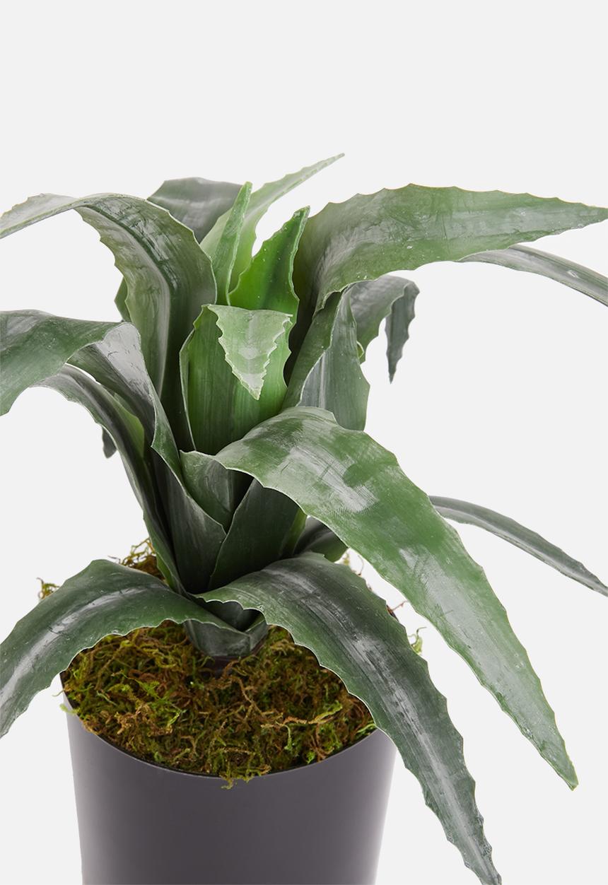 Silk By Design - Aloe artificial plant in pvc pot - green