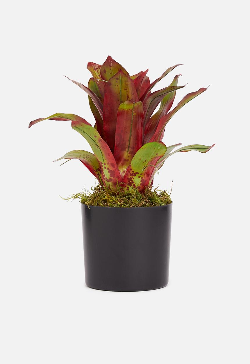 Silk By Design - Bromeliad artificial plant in pvc pot - red & green