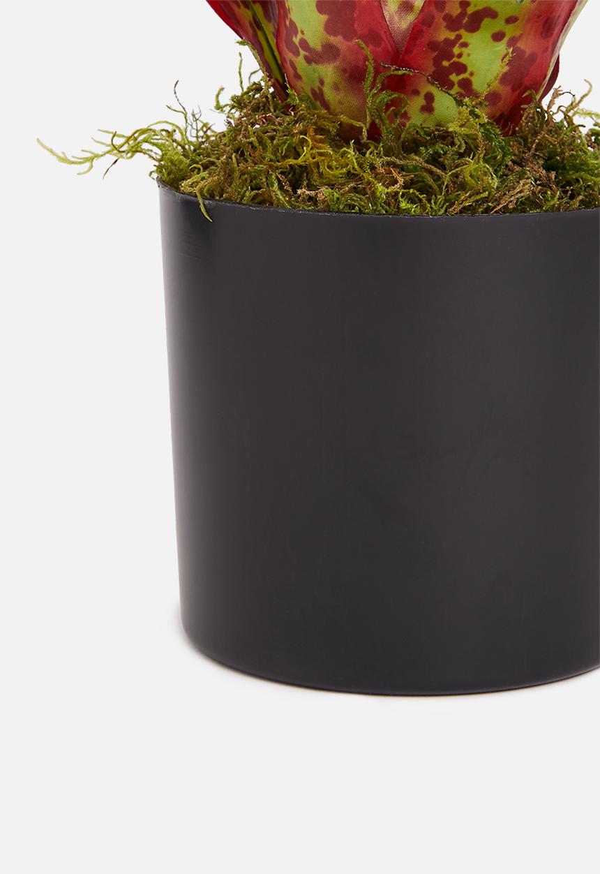 Silk By Design - Bromeliad artificial plant in pvc pot - red & green
