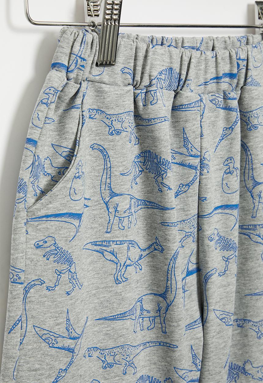 Pop Candy - Boys dino shorts - blue