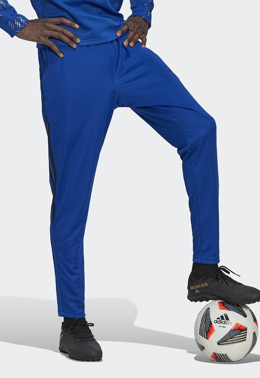 adidas Performance - Tiro track pants - team royal blue/black