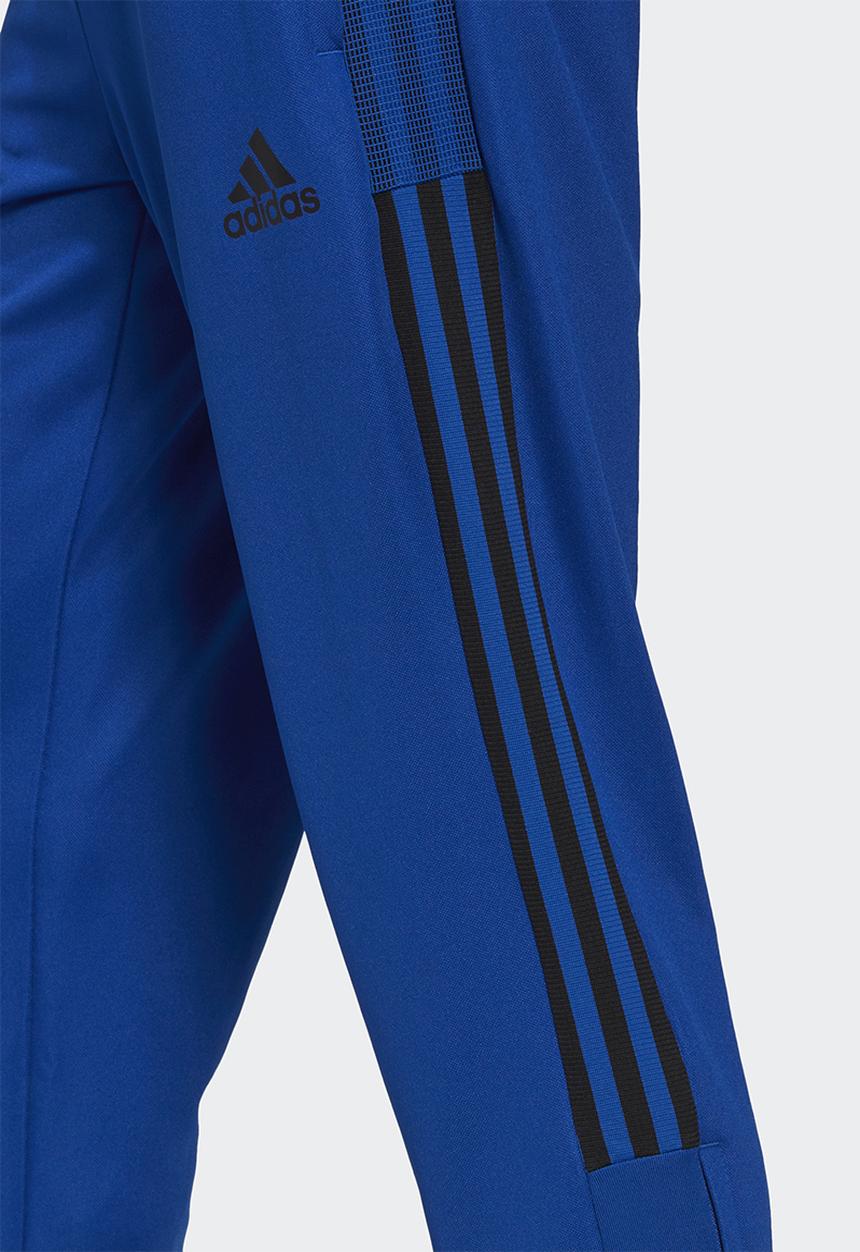 adidas Performance - Tiro track pants - team royal blue/black