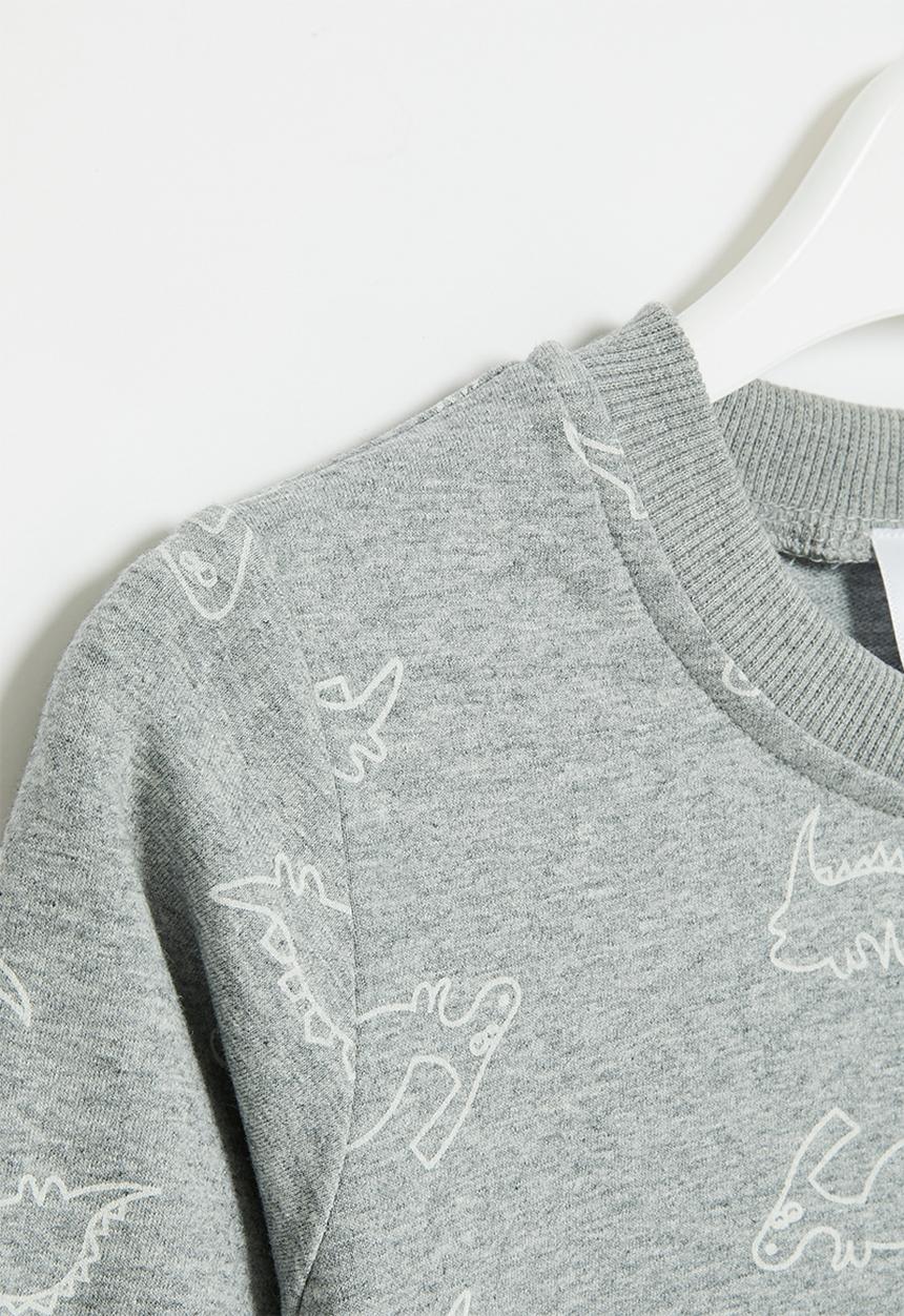 Pop Candy - Dino sweatshirt - grey