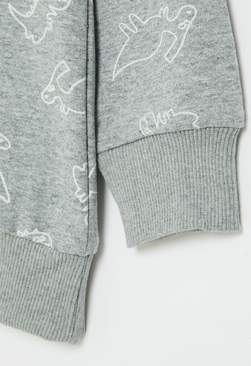 Pop Candy - Dino sweatshirt - grey