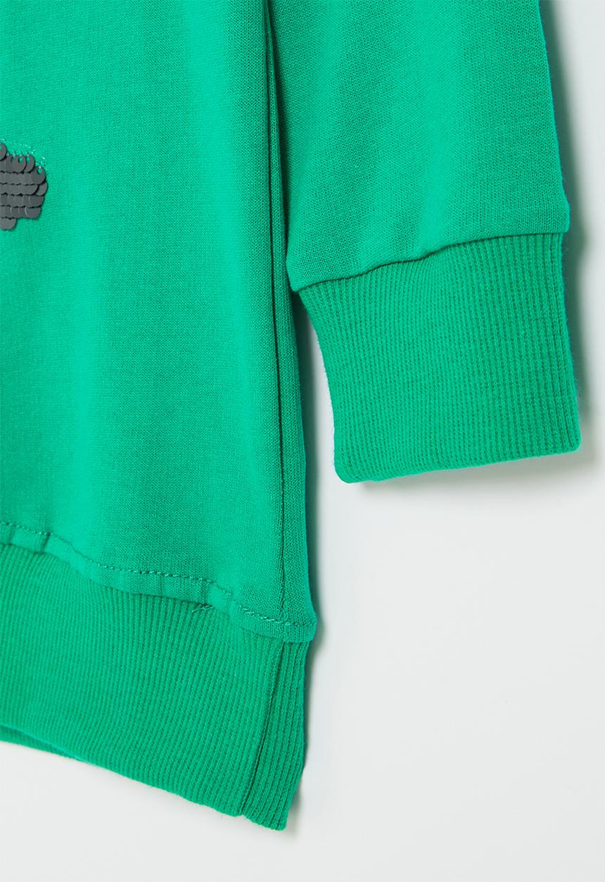 Pop Candy - Boys dino crew sweatshirt - green