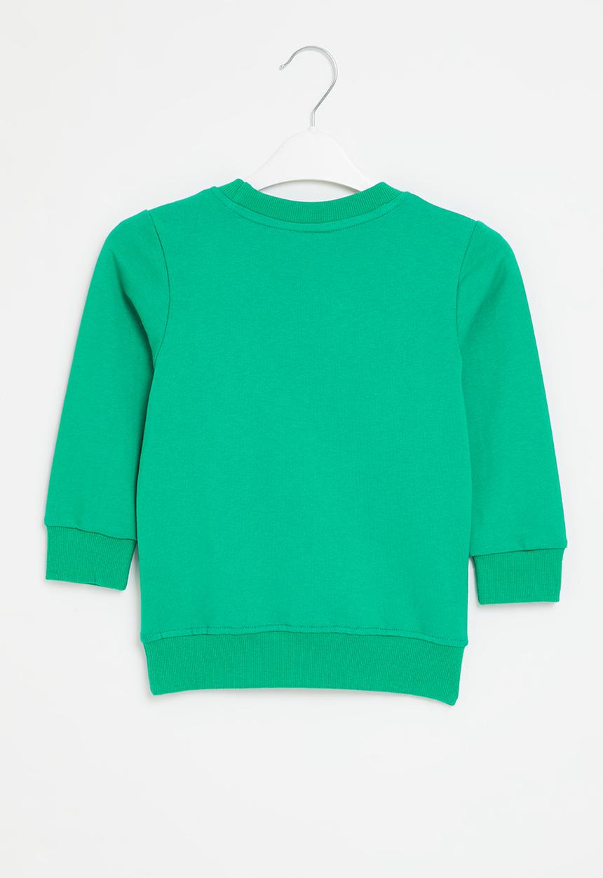 Pop Candy - Boys dino crew sweatshirt - green