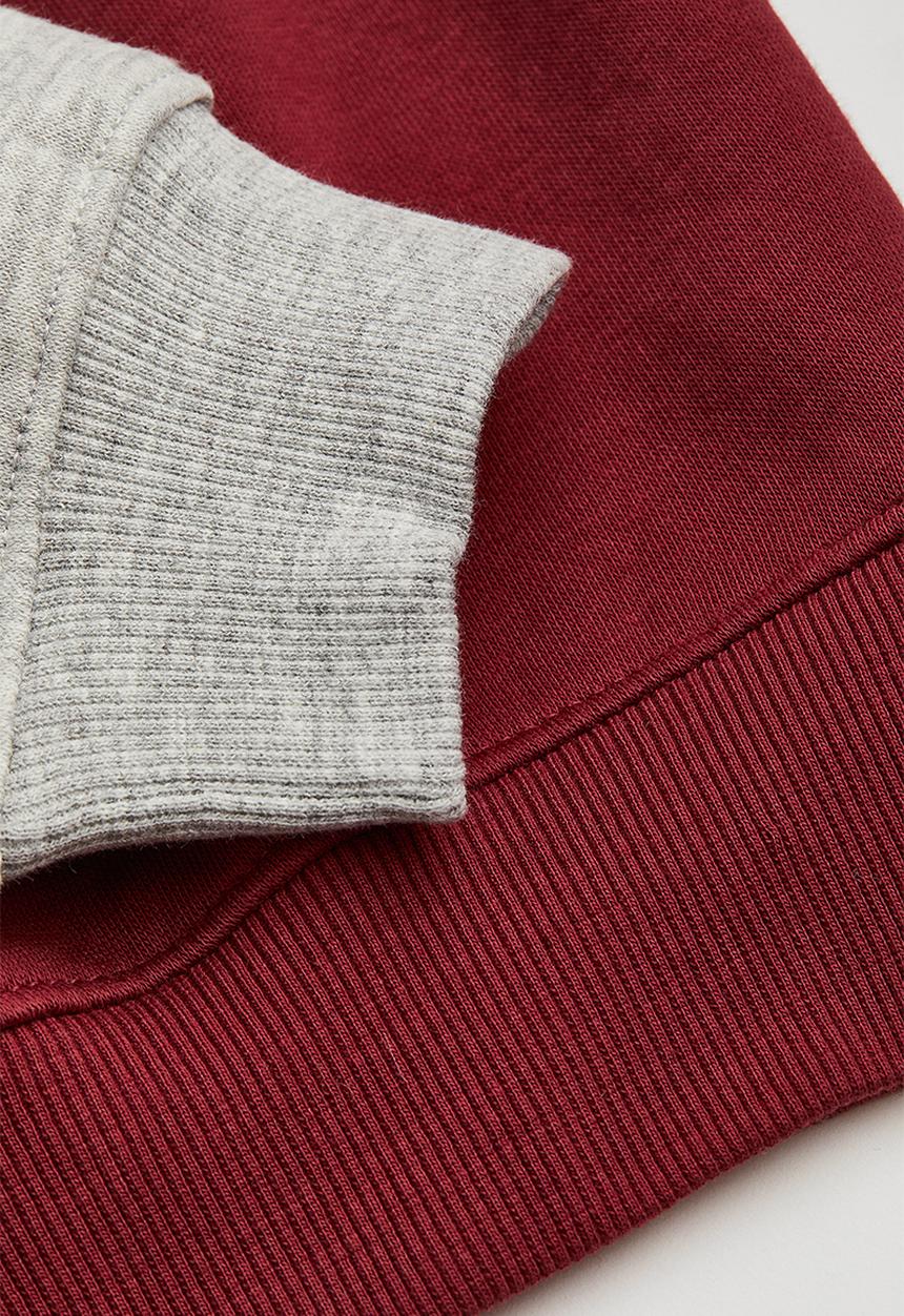 H&M - Printed hoodie - dark red/maine