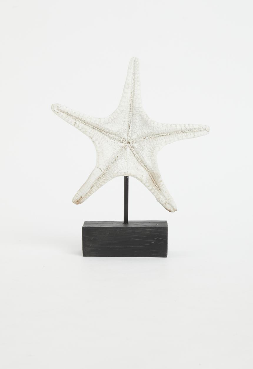 H&S - Starfish shell stand  - white