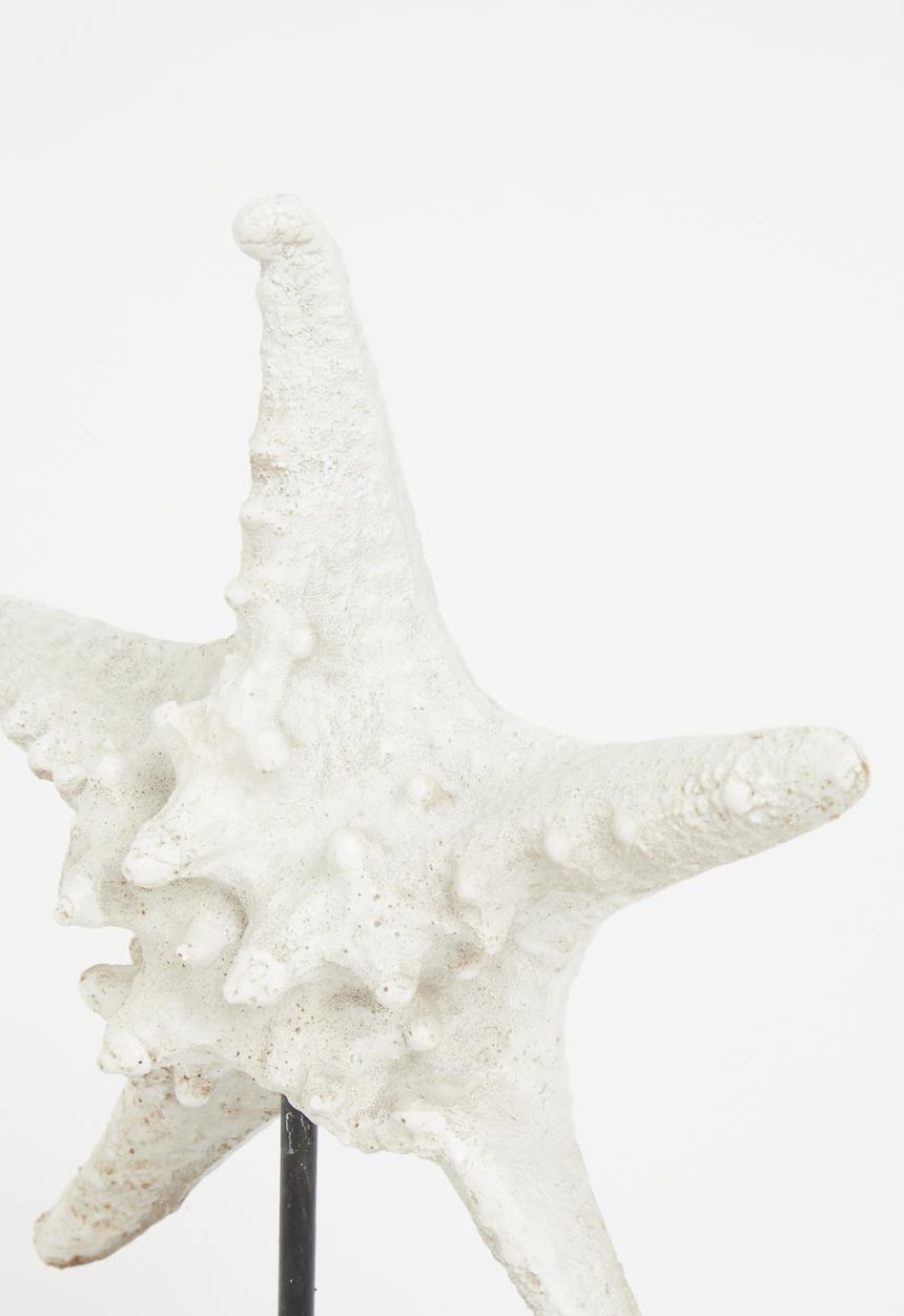 H&S - Starfish shell stand  - white