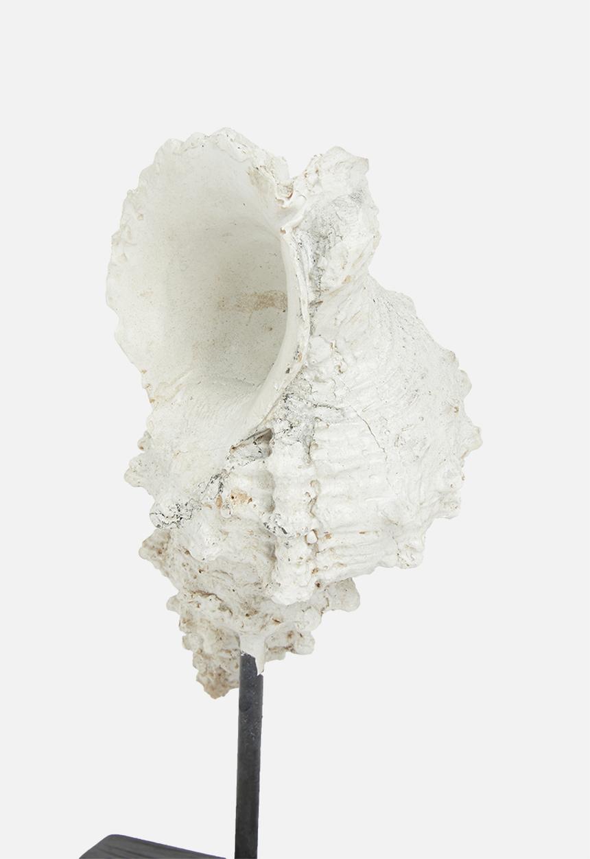 H&S - Turret shell stand - white