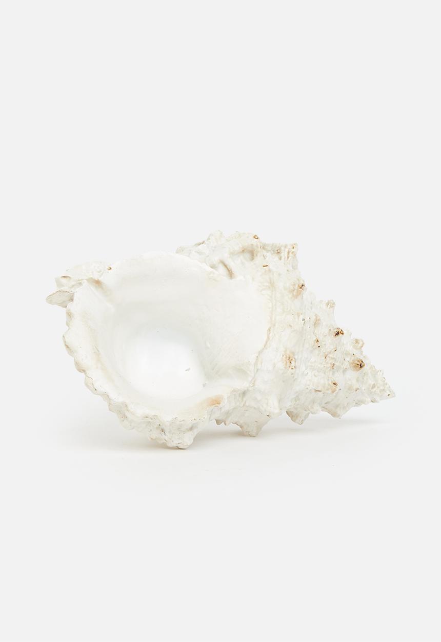 H&S - Murex shell decor - natural