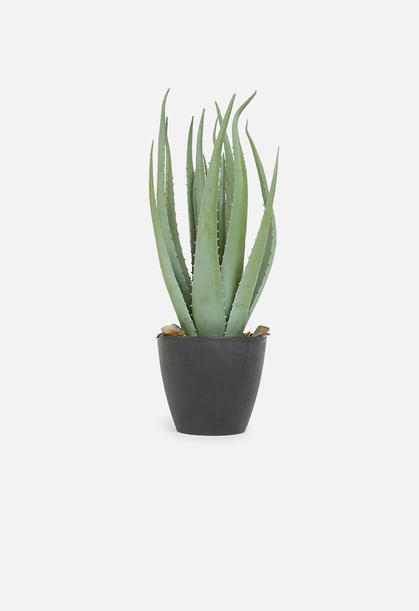 H&S - Potted plant - green