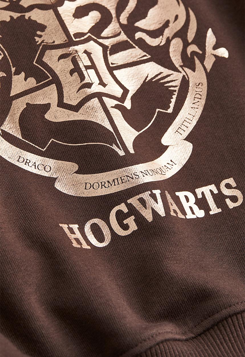 H&M - Boxy printed sweatshirt - dark brown/harry potter