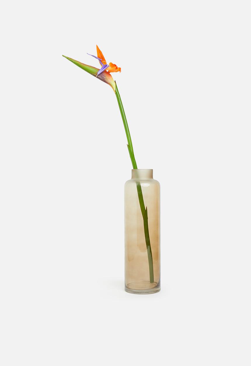 Silk By Design - Bird of paradise single stem - multi
