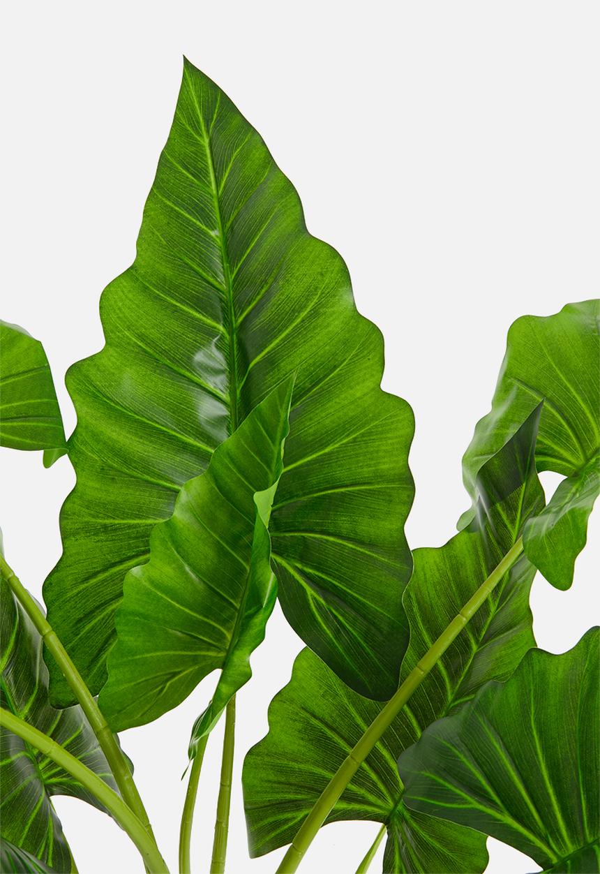 H&S - Spathiphyllum artificial plant - green 