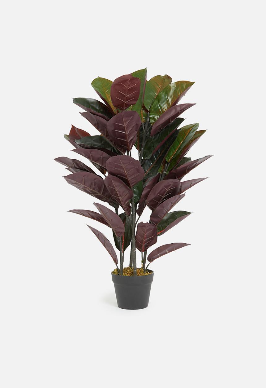 Sixth Floor - Rubber tree artificial plant - 90cm h