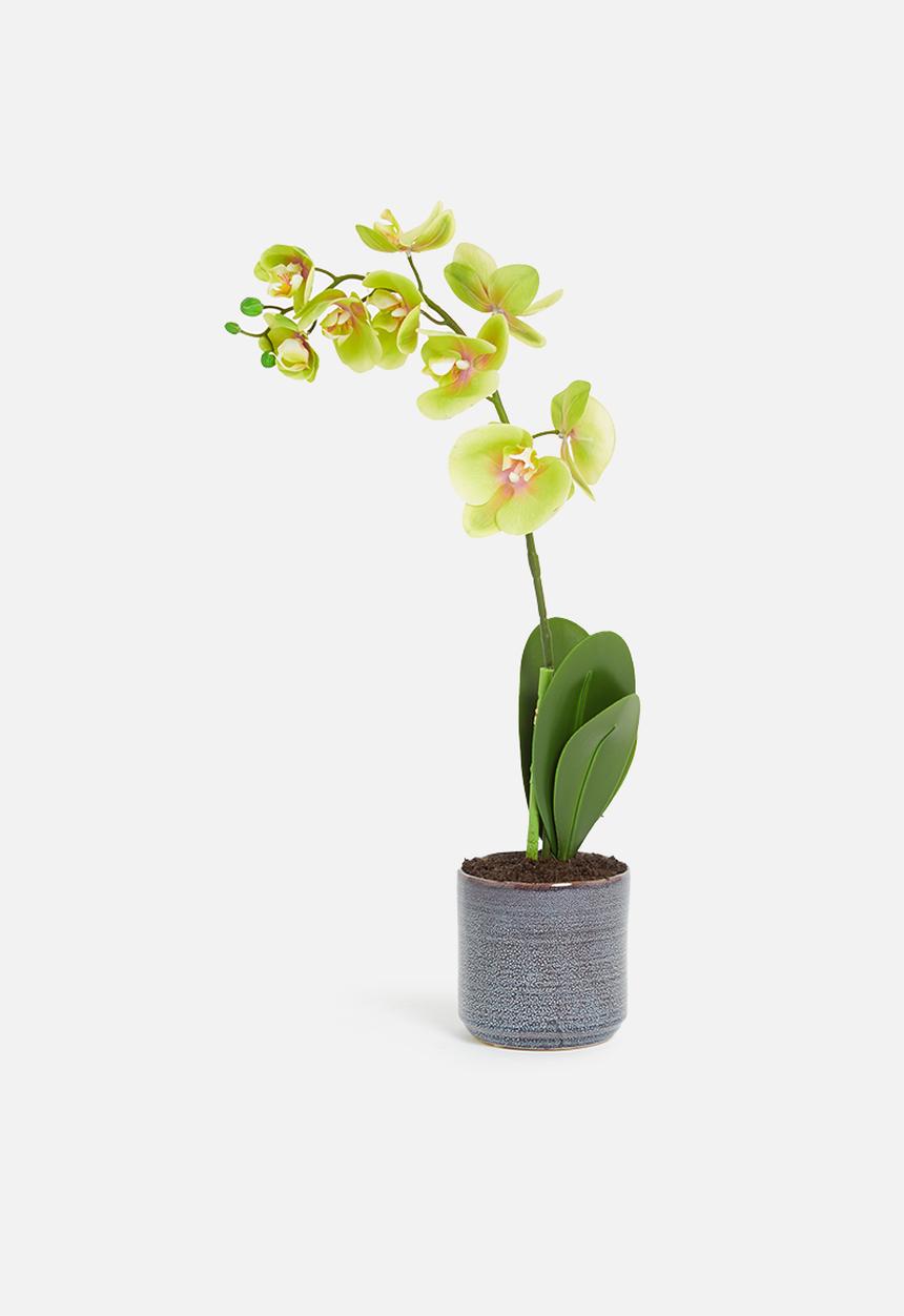 Silk By Design - Phalenopsis artificial orchid in silver planter - green