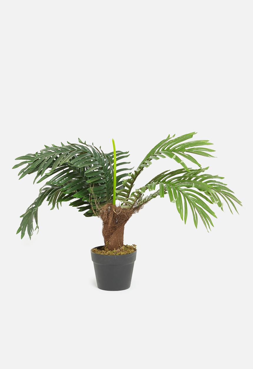 Sixth Floor - Palm tree artificial plant - 60cm h