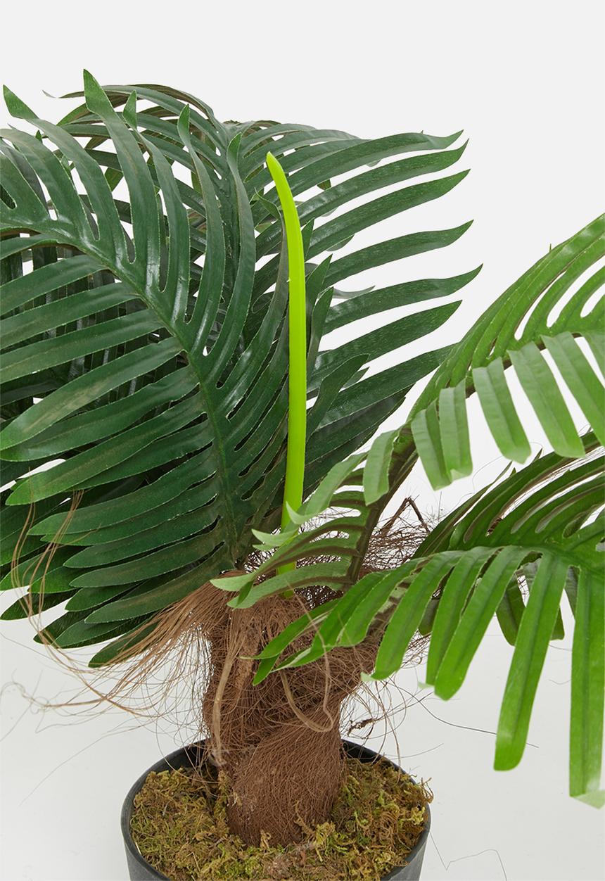 Sixth Floor - Palm tree artificial plant - 60cm h