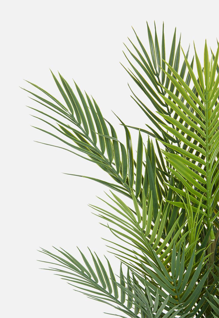 Sixth Floor - Palm tree artificial plant - 95cm h