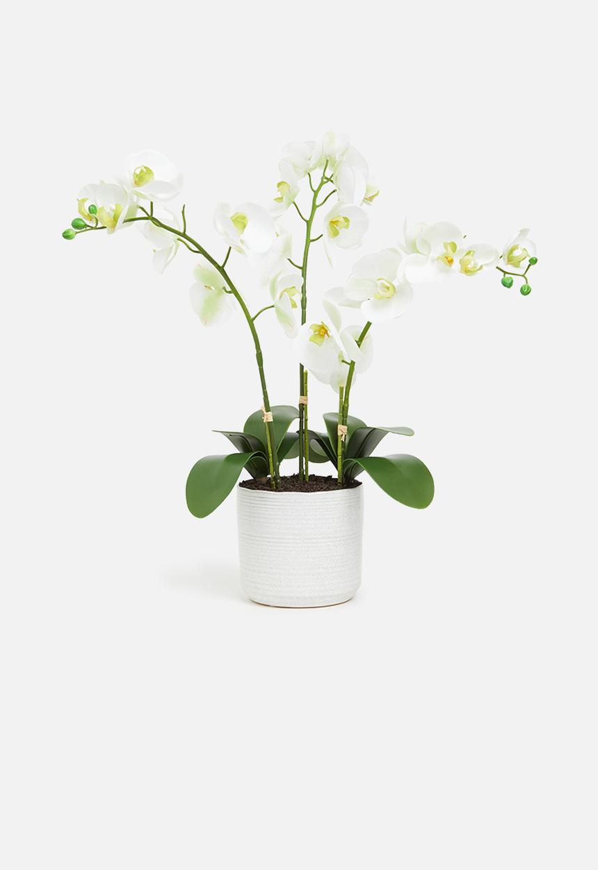 Silk By Design - Phalenopsis artificial orchid in ceramic planter - white