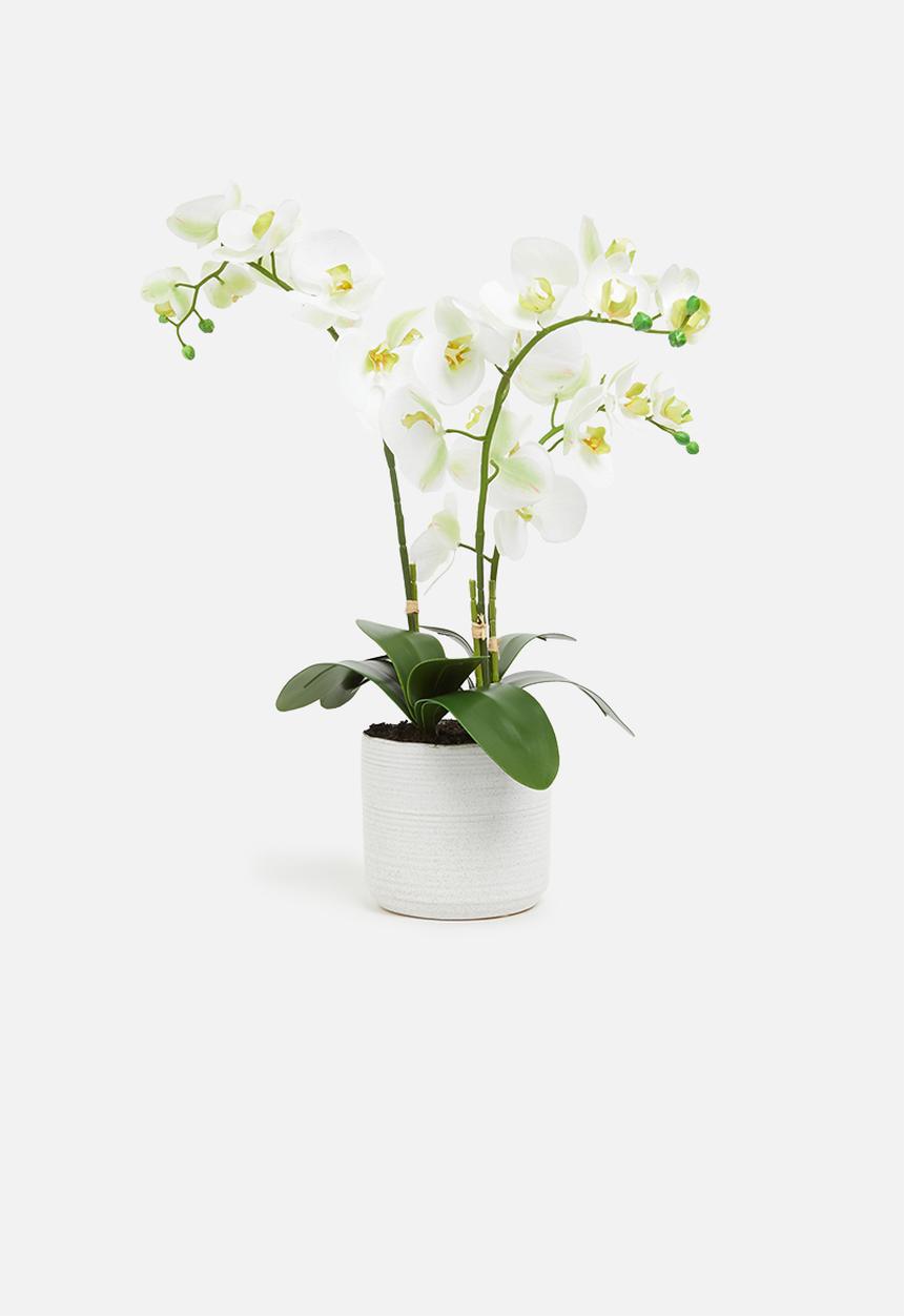 Silk By Design - Phalenopsis artificial orchid in ceramic planter - white