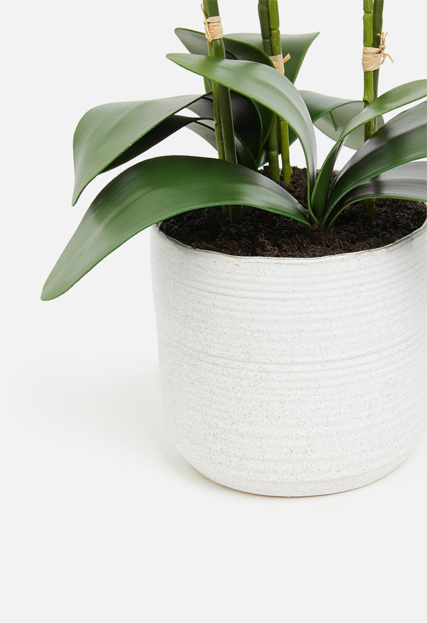 Silk By Design - Phalenopsis artificial orchid in ceramic planter - white