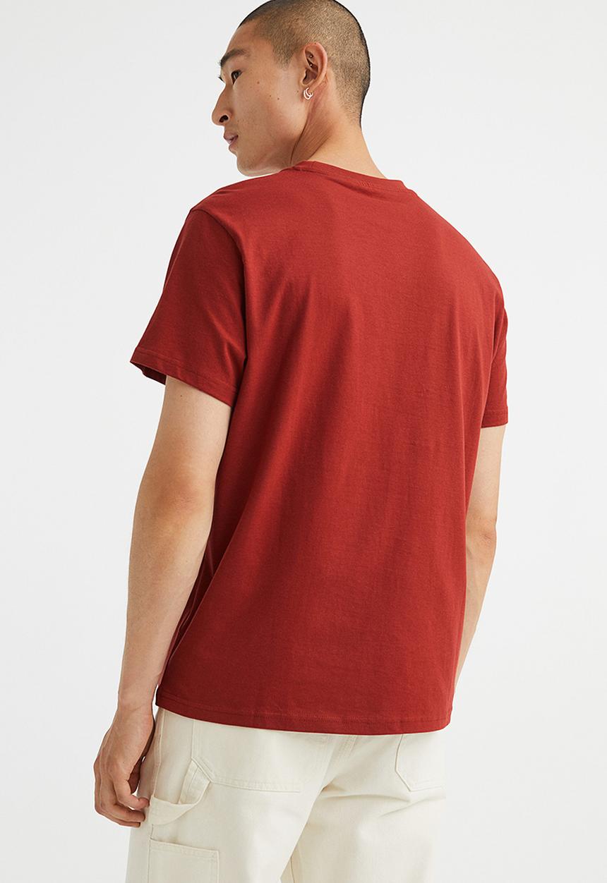 H&M - Regular fit round-neck T-shirt - rust brown 