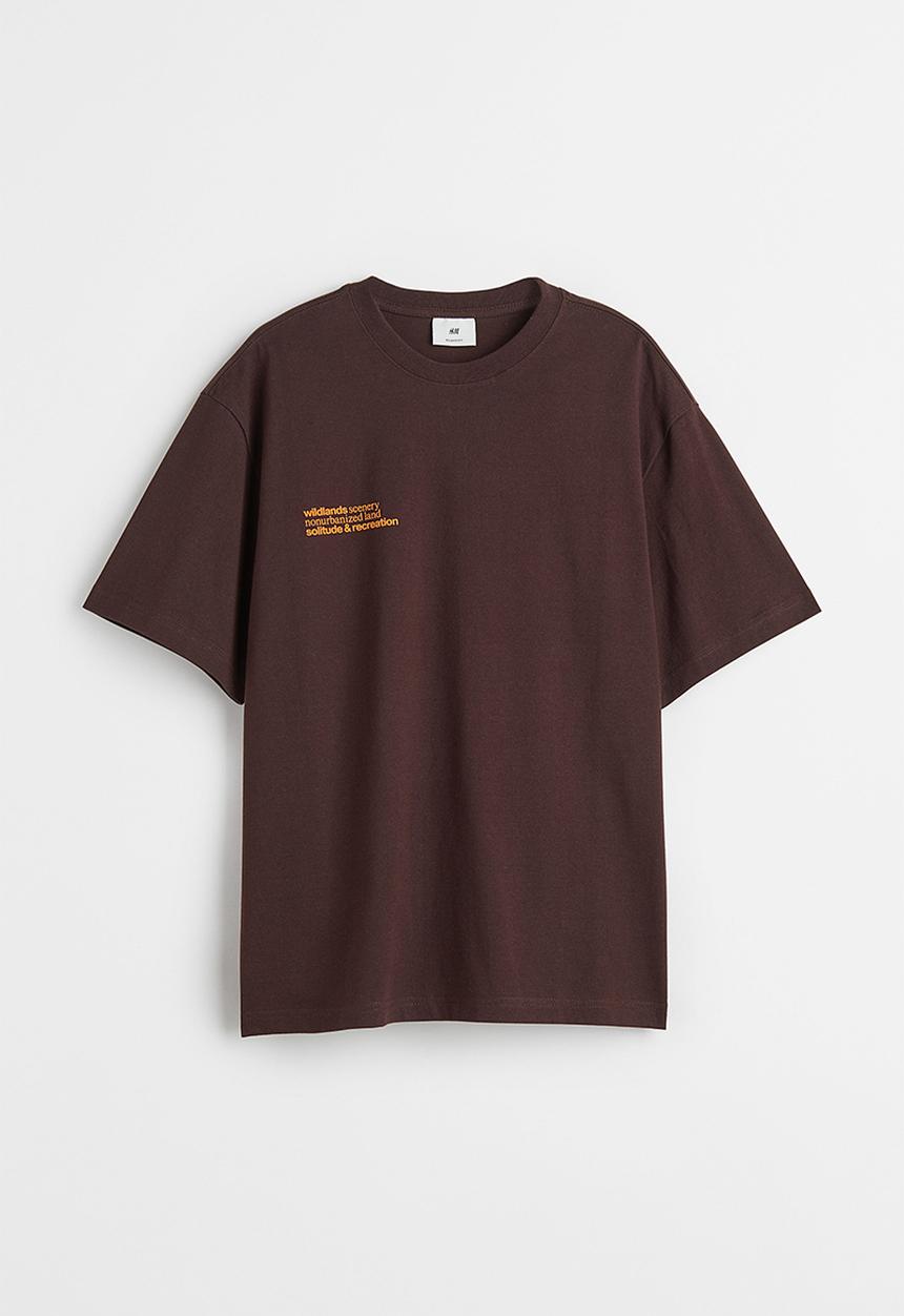 H&M - Relaxed fit cotton T-shirt - dark brown/mountains