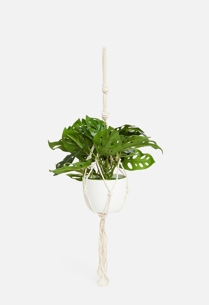 H&S - Hanging artificial plant