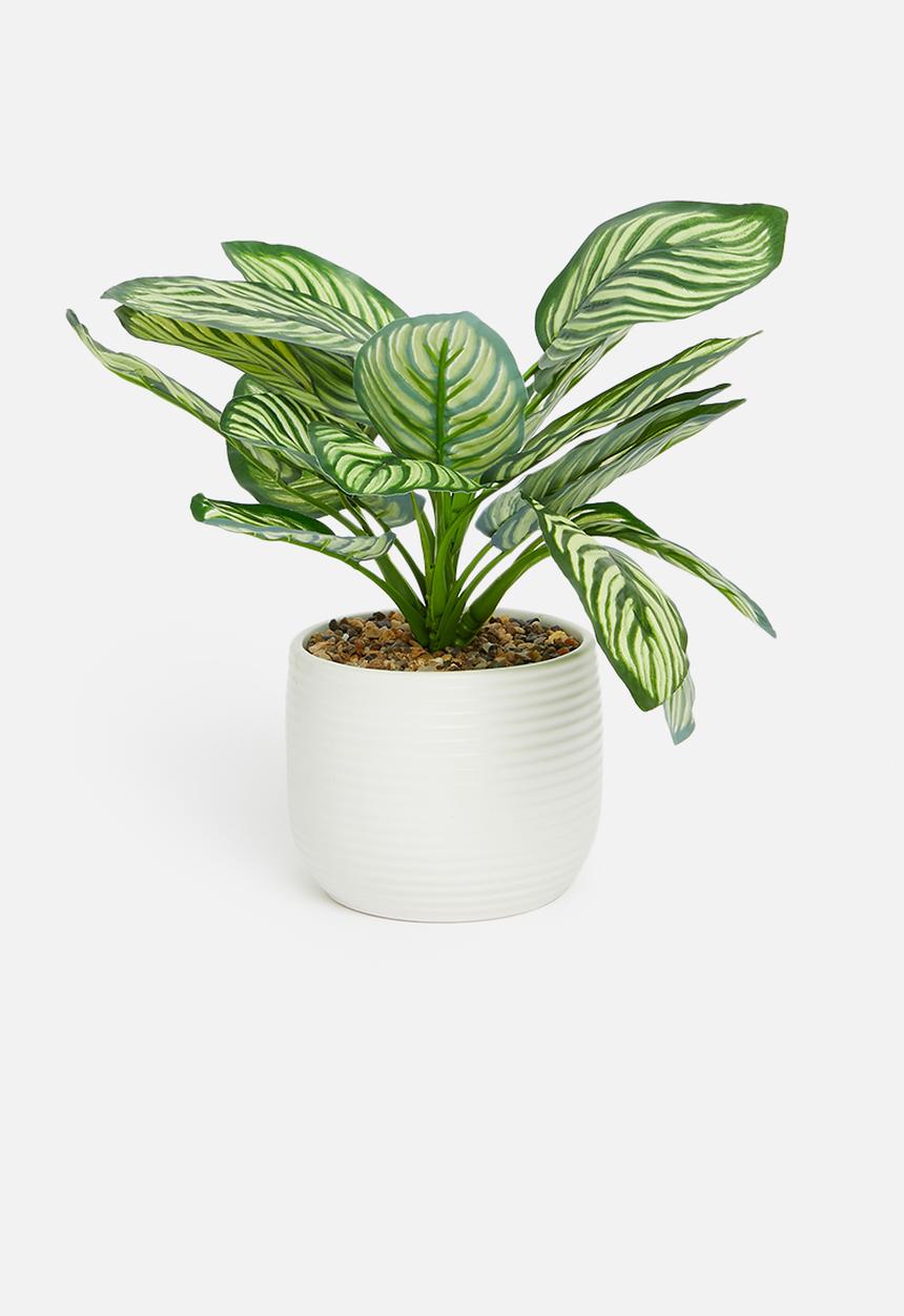 H&S - Potted artificial plant - white pot
