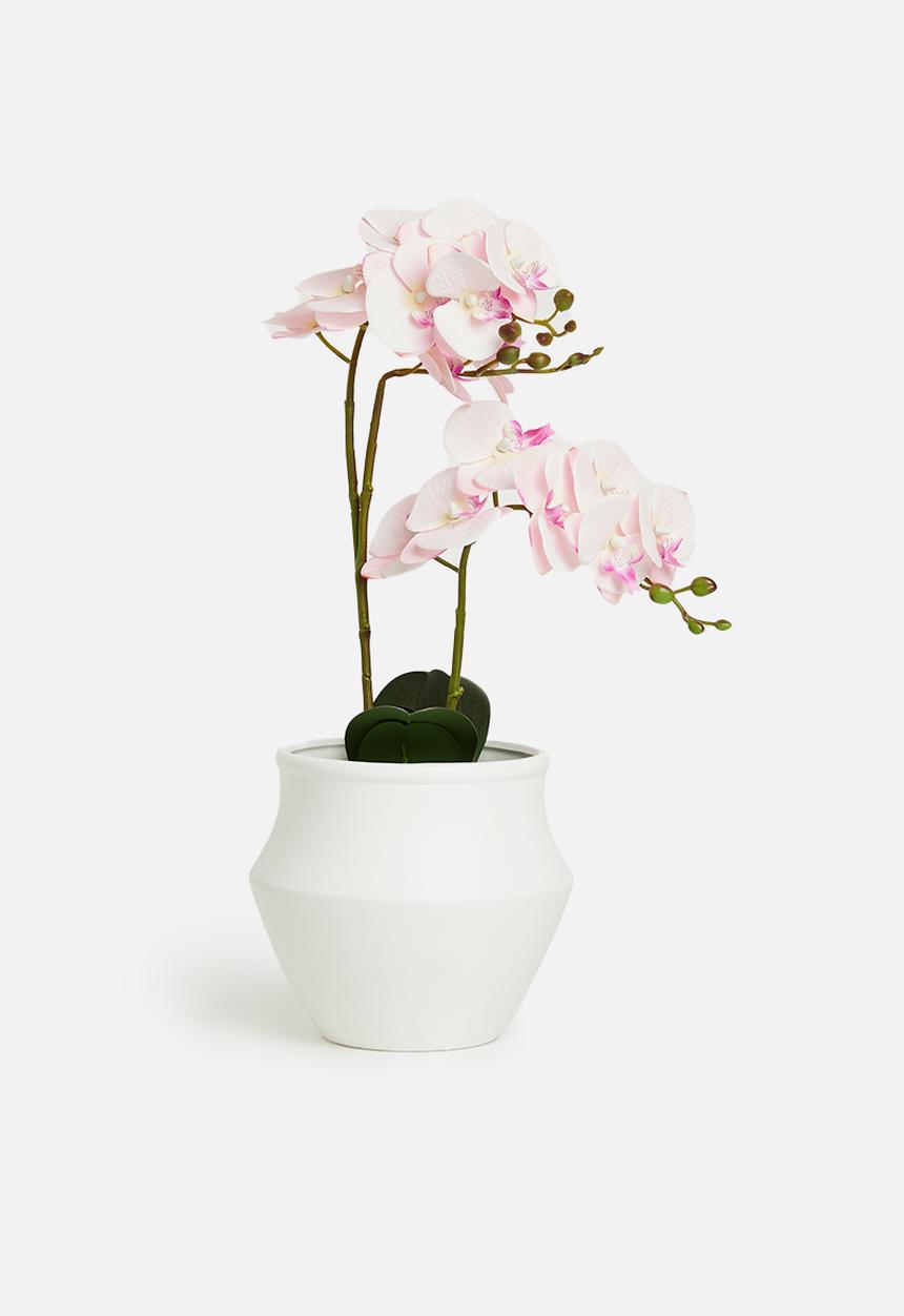 H&S - Aphrodite vase - white