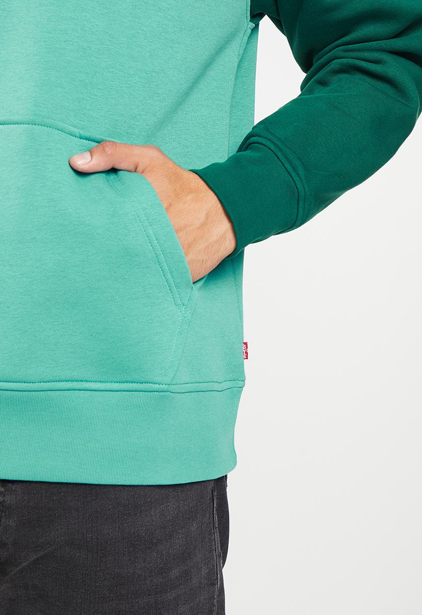 Levi’s® - Relaxed graphic po colorblock bt hoodie - green