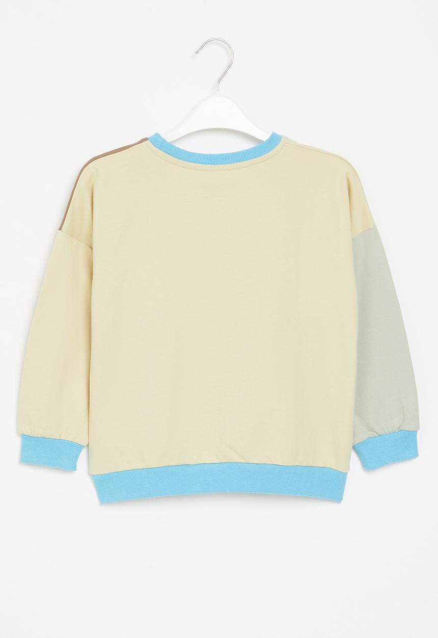 Pop Candy - Colourblock dino sweatshirt - multi