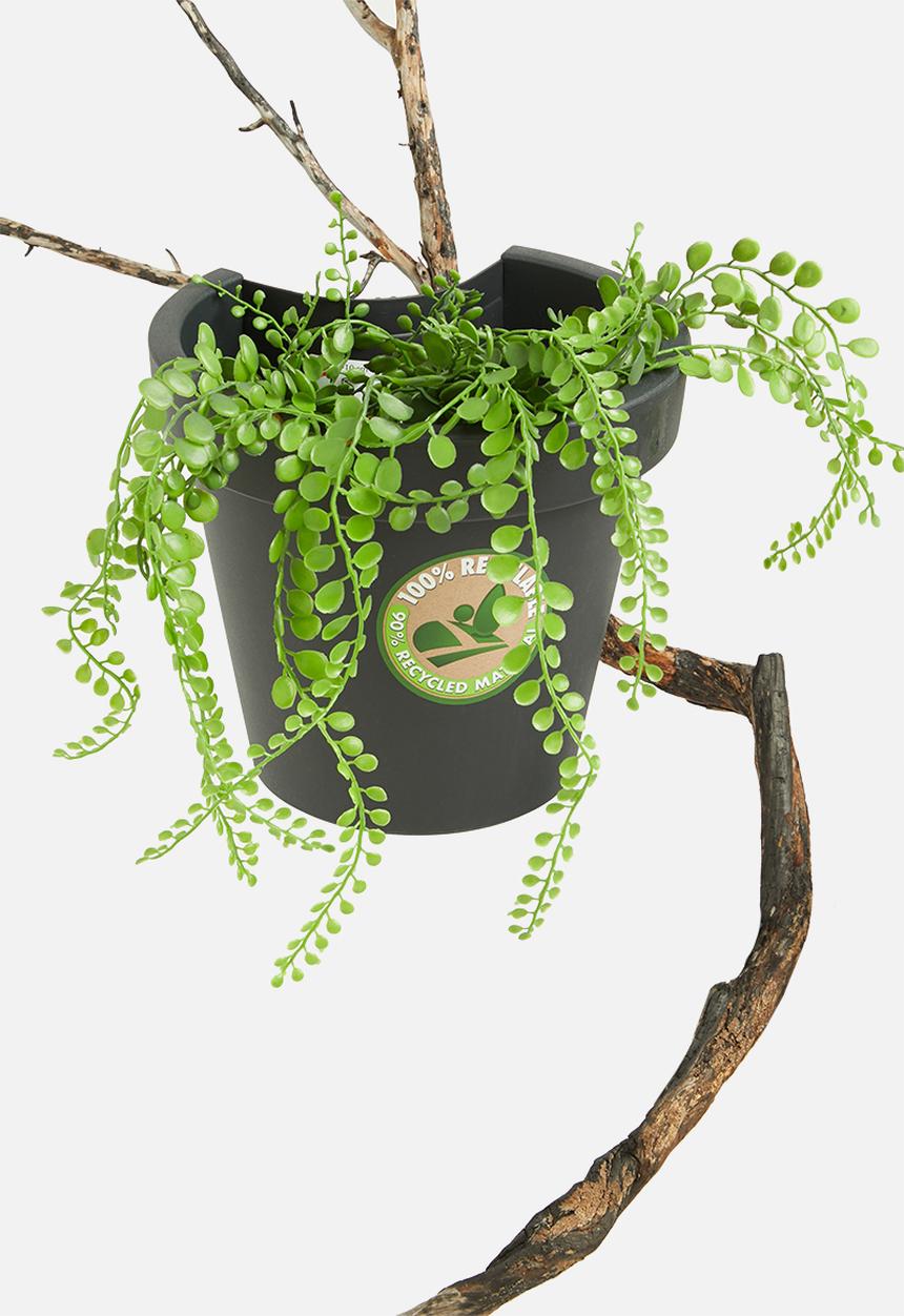 H&S - Clip-on planter pot-black