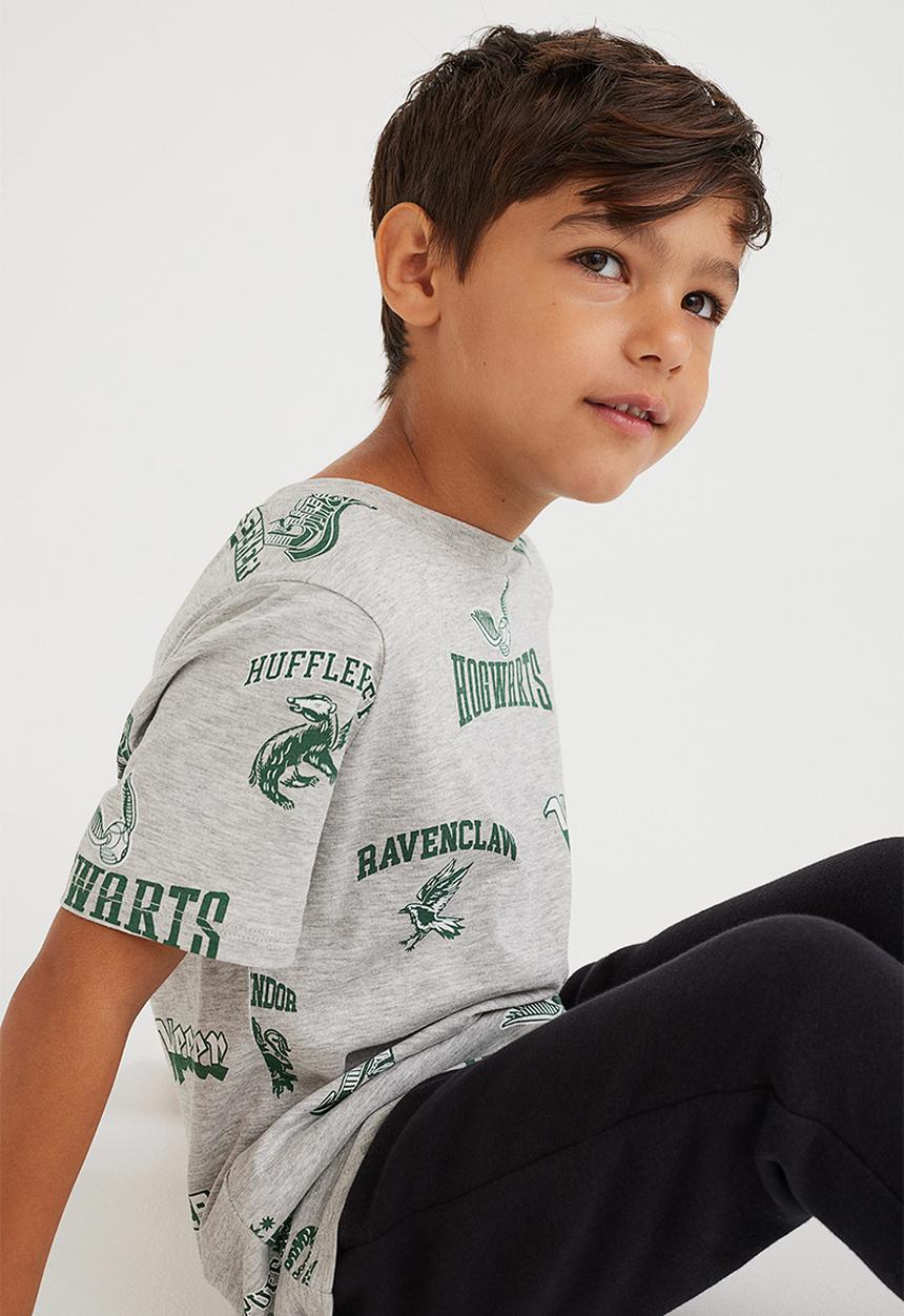 H&M - Printed T-shirt - light grey marl/harry potter