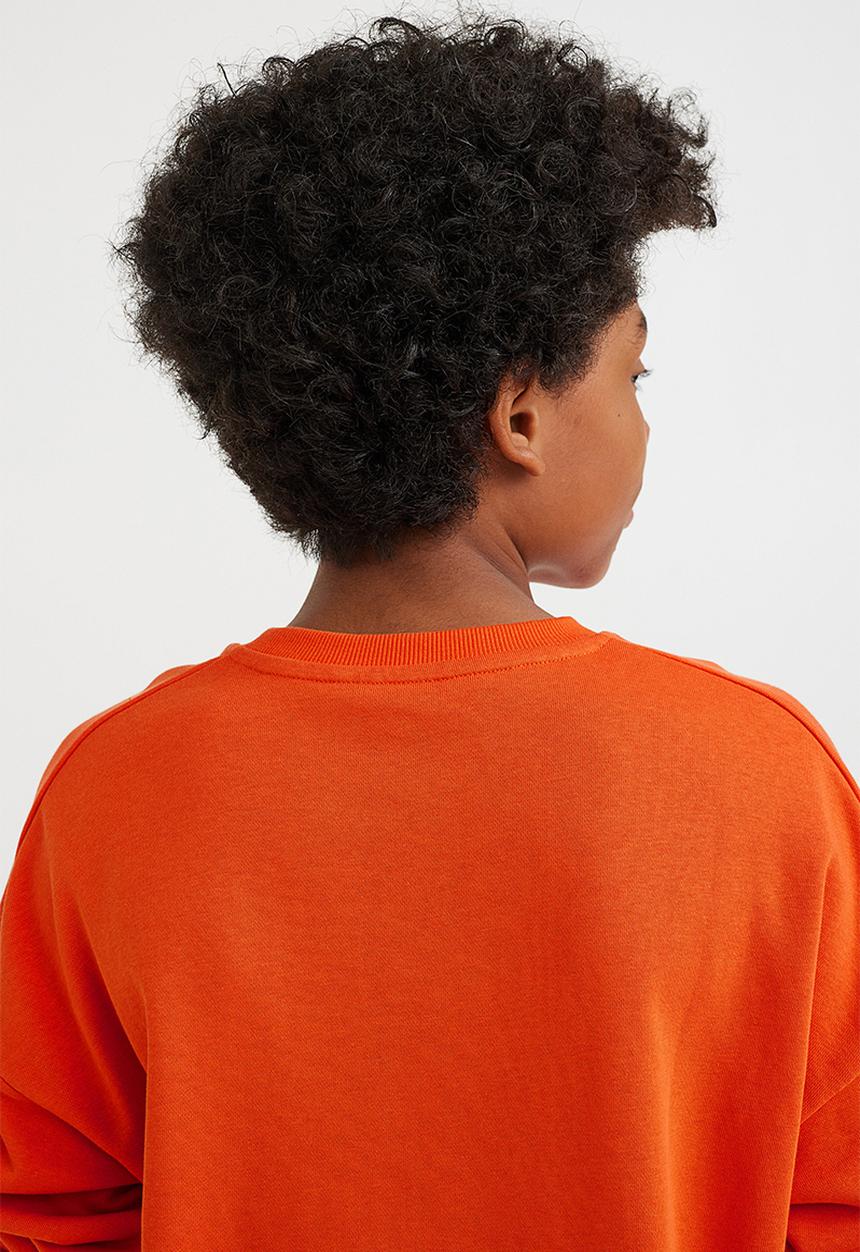 H&M - Printed sweatshirt - orange/mountain