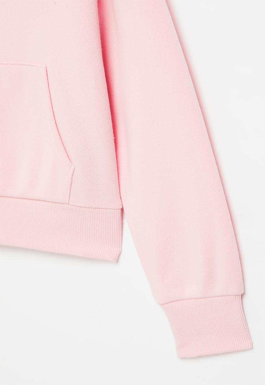 Levi’s® - Lvg meet & greet pullover hood - roseate spoonbill