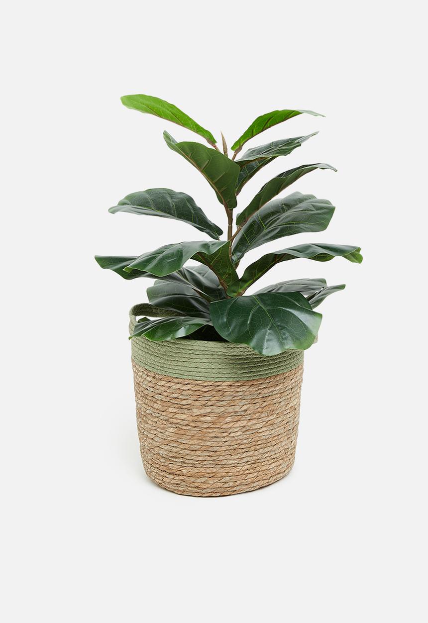 Sixth Floor - Nagini basket - sage