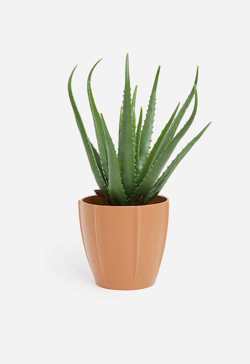 H&S - Pitti planter pot-terracotta