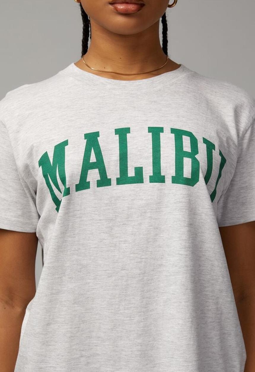 Factorie - Everyday graphic tee - silver marle/malibu