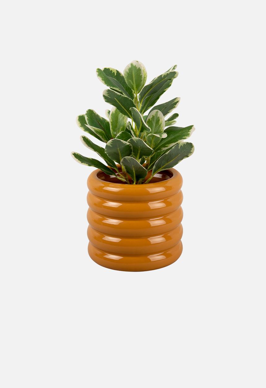 Present Time - Bobbly plant pot small - ochre yellow