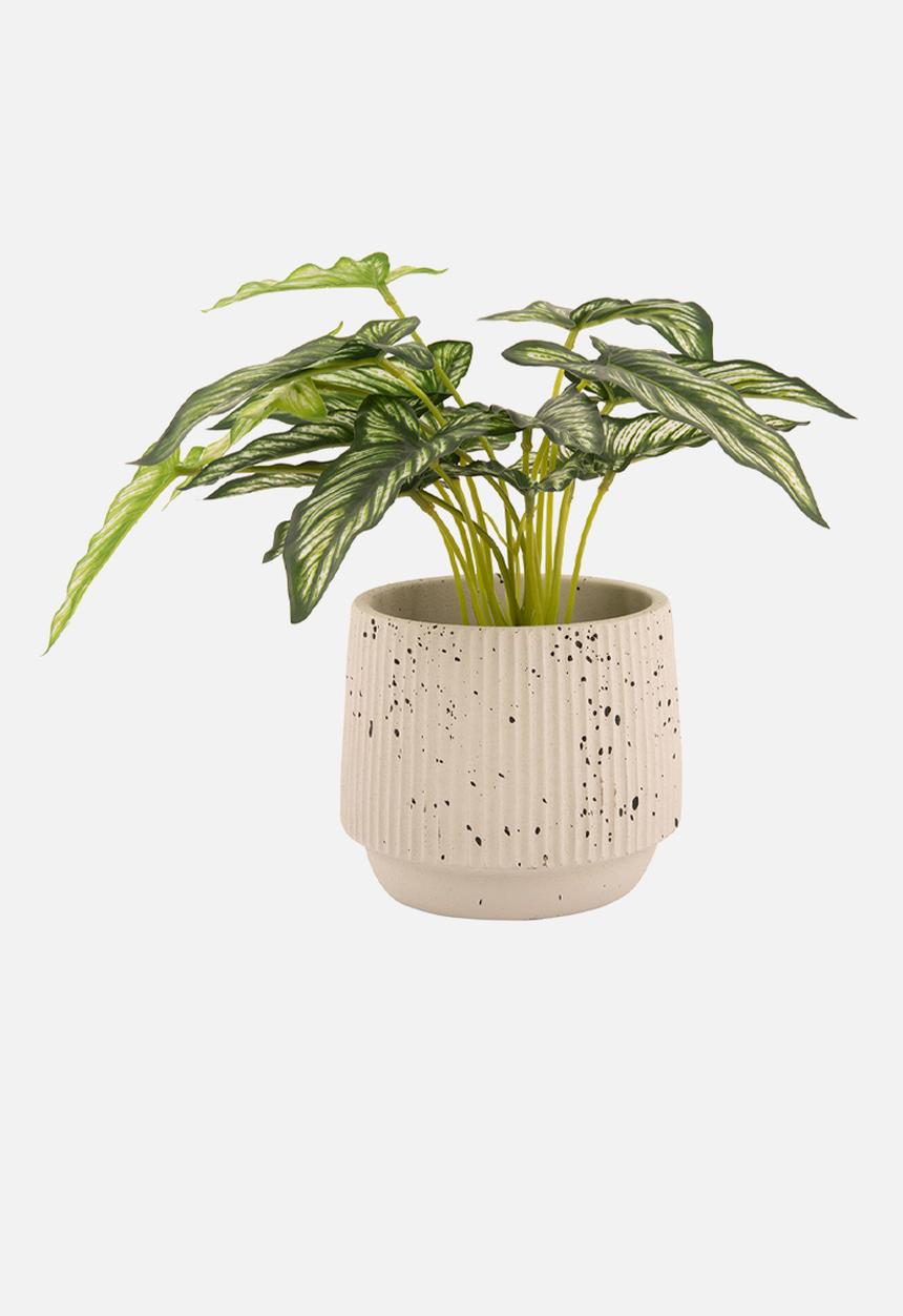 Present Time - Plant pot Speckles Cone cement ivory