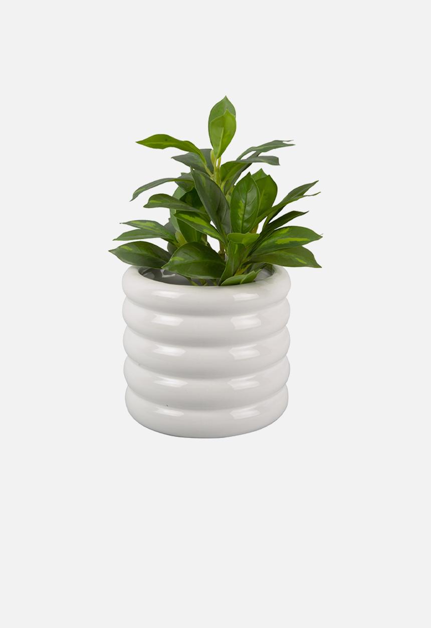 Present Time - Bobbly plant pot medium - white