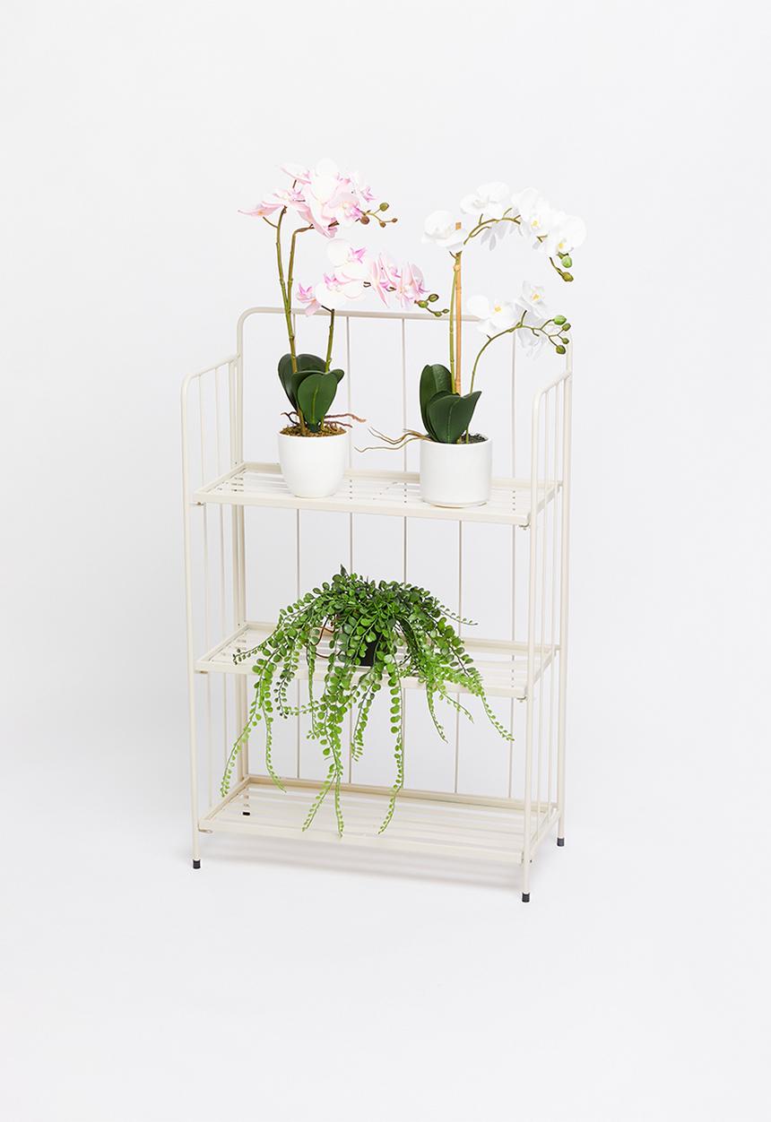 H&S - Intenda shelf - cream