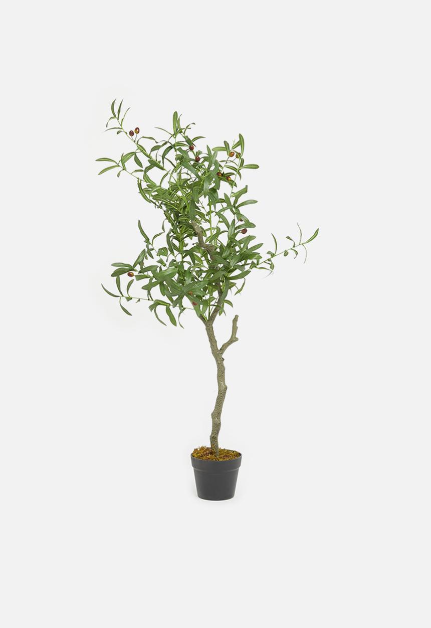 Sixth Floor - Faux olive tree 125cm H - black plastic pot